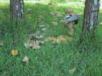 IMG_1868.jpg (95785 bytes)